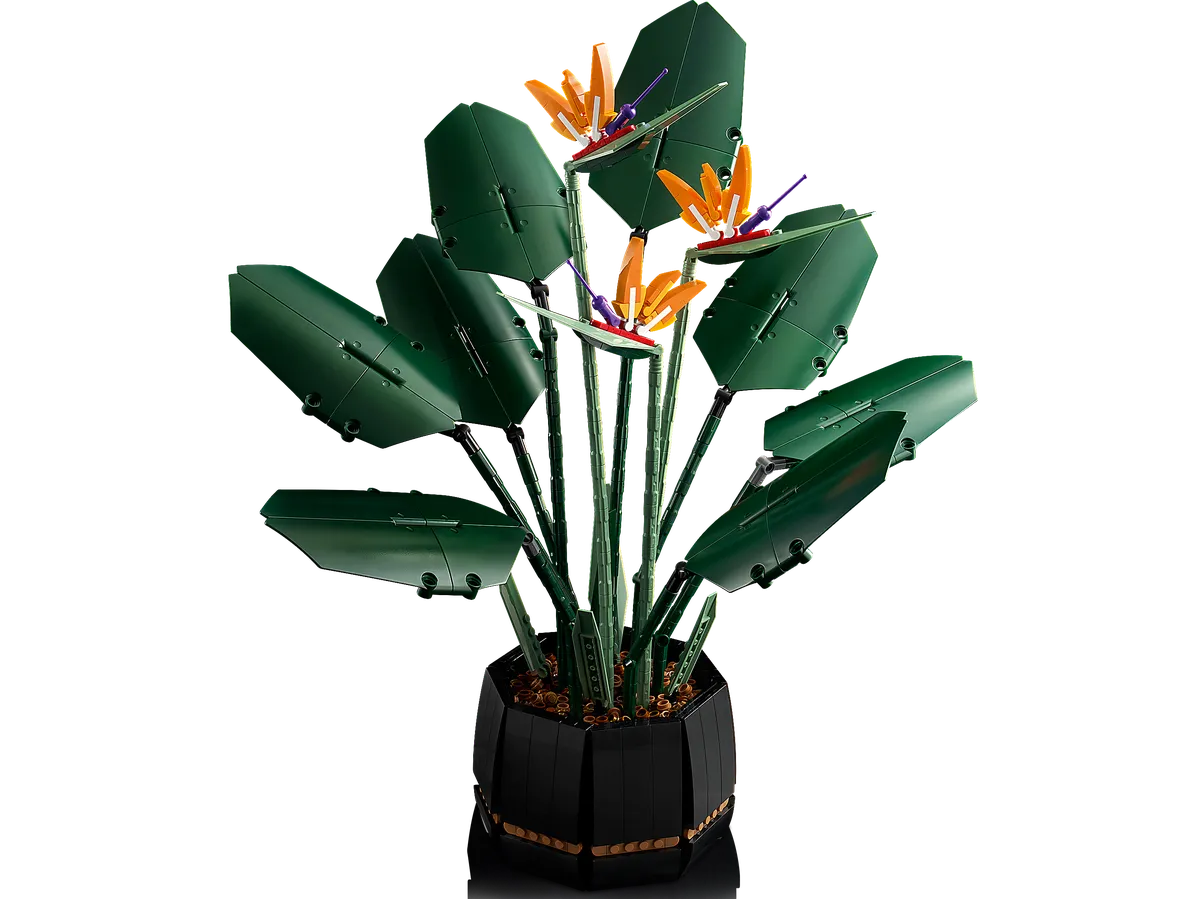 LEGO Bird of Paradise (10289) - Bild 2