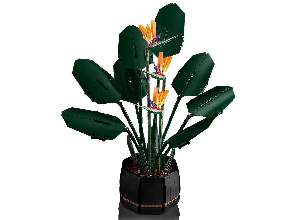 LEGO Bird of Paradise (10289) - Bild 3