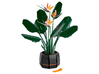 Bird of Paradise fra LEGO – produktbillede 1 af 18