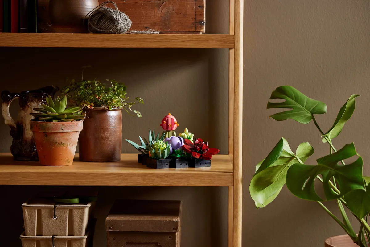 LEGO Succulents (10309) - image 2