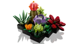 LEGO Succulents (10309) - afbeelding 4