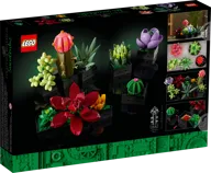 Vetplanten - Afbeelding 9 van 10