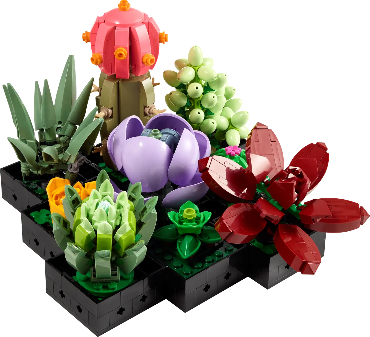LEGO Succulents (10309)