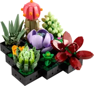 Vetplanten - Afbeelding 1 van 10