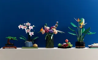 Orchid von LEGO – Produktfoto 4 von 10