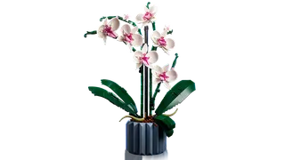 Orchid von LEGO – Produktfoto 5 von 10