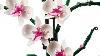 Orchid von LEGO – Produktfoto 6 von 10