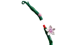 LEGO Orchid (10311) - afbeelding 6