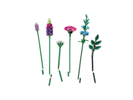 Sunflowers - Image 8 of 12