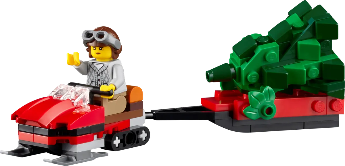 LEGO Alpine Lodge (10325) - image 9