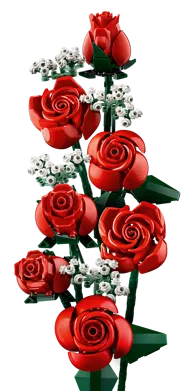 Zonnebloemen - Afbeelding 6 van 11