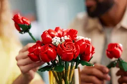 LEGO Bouquet of Roses (10328) - afbeelding 9