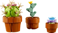 Miniplantjes - Afbeelding 4 van 8