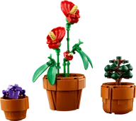 Miniplantjes - Afbeelding 5 van 8