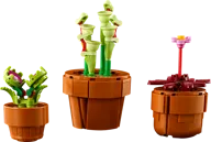 Miniplantjes - Afbeelding 6 van 8