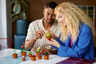 Miniplantjes - Afbeelding 7 van 8