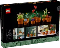 Miniplantjes - Afbeelding 8 van 8