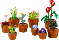 Miniplantjes - Afbeelding 1 van 8