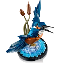 Kingfisher Bird - Image 3 of 8