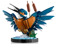 Kingfisher Bird - Image 4 of 8