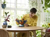 Kingfisher Bird - Image 6 of 8