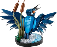 Kingfisher Bird - Image 1 of 8