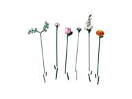 Sunflowers - Image 10 of 18