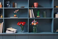 Miniorchidee - Afbeelding 4 van 9