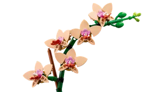 Miniorchidee van LEGO – productfoto 6 van 9