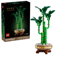 Bamboe - Afbeelding 2 van 9