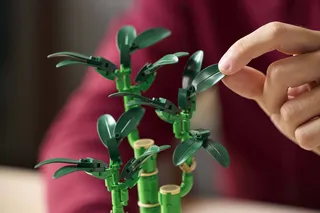 Lucky Bamboo de LEGO – photo du produit 8 sur 9