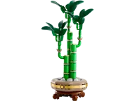 Bamboe - Afbeelding 1 van 9