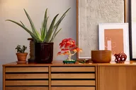 Vrolijke plantjes - Afbeelding 11 van 13