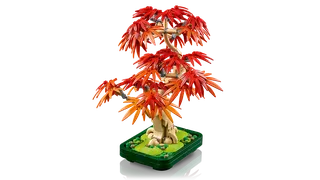 Japanese Red Maple Bonsai Tree de LEGO – photo du produit 4 sur 13