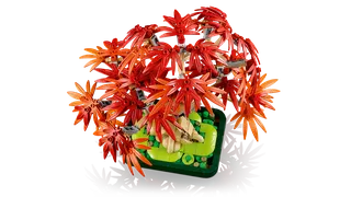 Japanese Red Maple Bonsai Tree de LEGO – photo du produit 5 sur 13