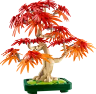 Vrolijke plantjes - Afbeelding 1 van 13