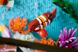 LEGO Tropical Aquarium (10366) - afbeelding 12