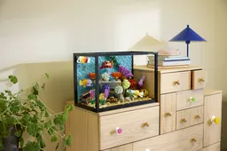 LEGO Tropical Aquarium (10366) - afbeelding 28