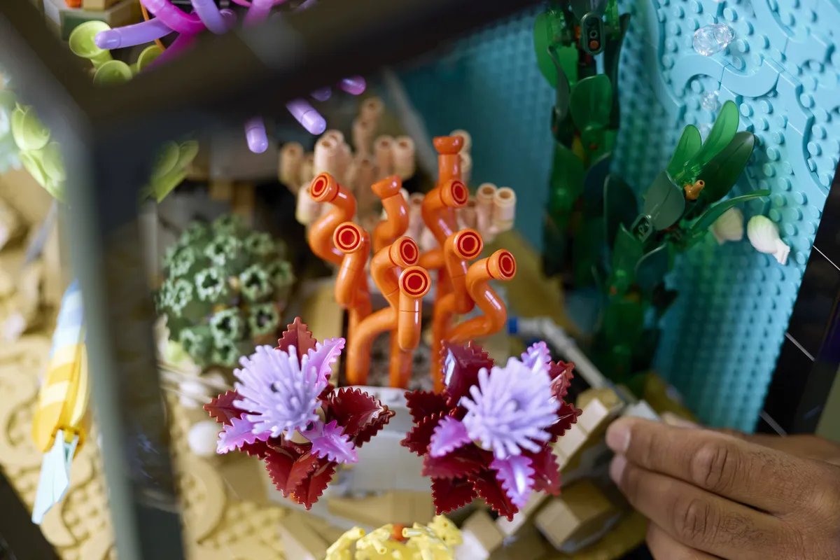 LEGO Tropical Aquarium (10366) - Bild 29