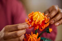 LEGO Chrysanthemum (10368) - afbeelding 8