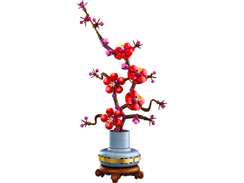 Plum Blossom