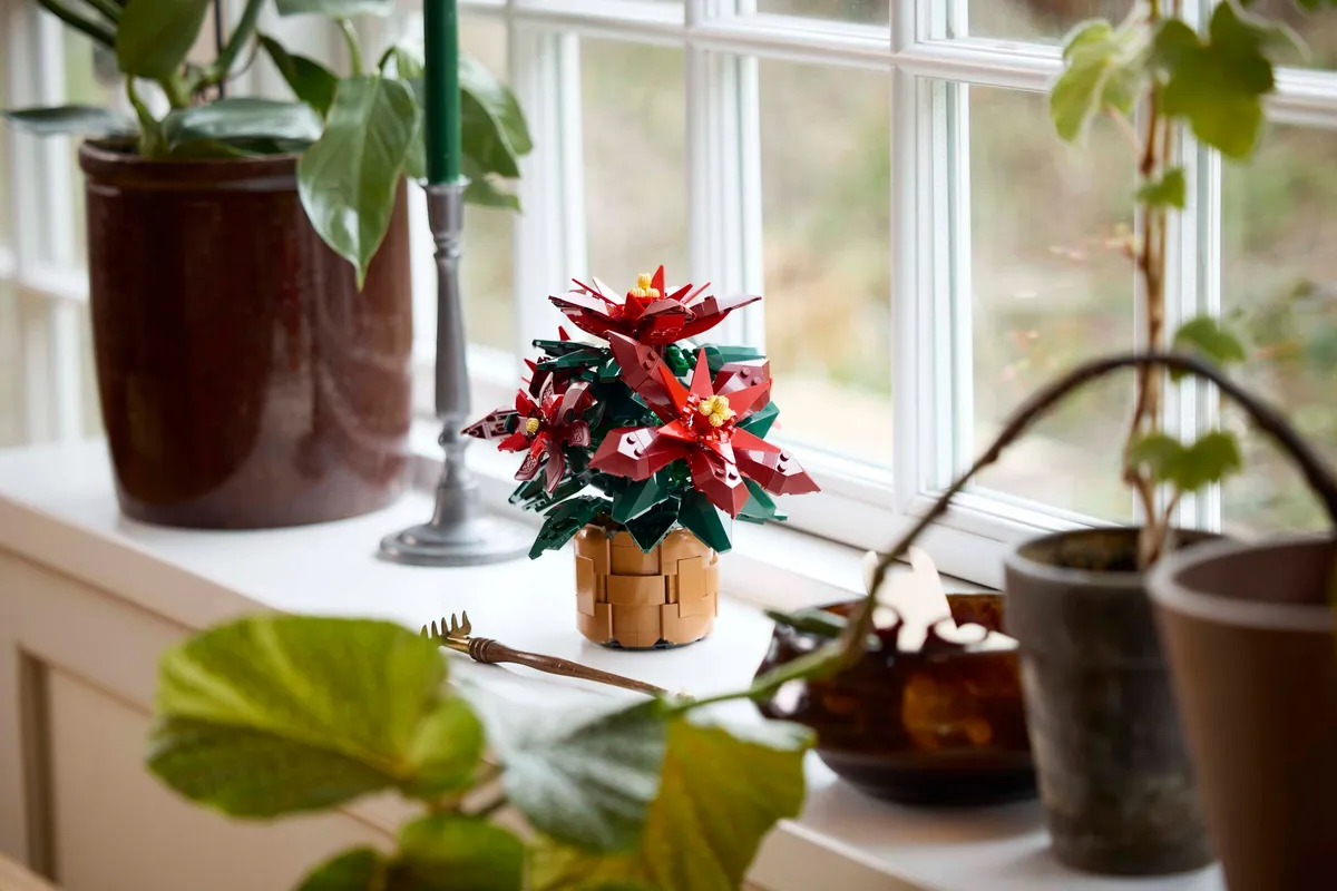 LEGO Poinsettia (10370) - Bild 4