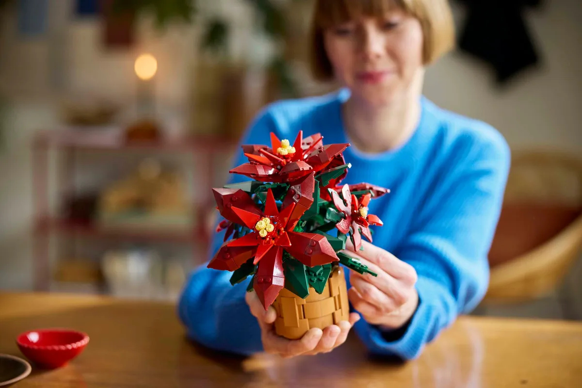 LEGO Poinsettia (10370) - Bild 7