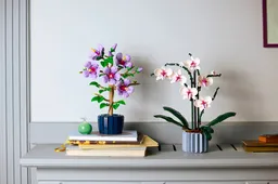 LEGO Hibiscus (10372) - afbeelding 10