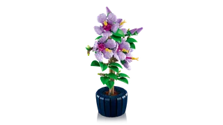 Hibiscus by LEGO – product photo 7 of 12