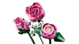 LEGO Bouquet of Pink Roses (10374) - afbeelding 26