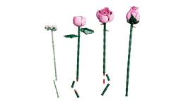 LEGO Bouquet of Pink Roses (10374) - afbeelding 27