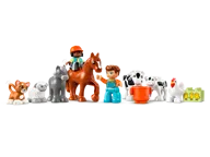 Caring for Animals at the Farm - Image 4 of 9