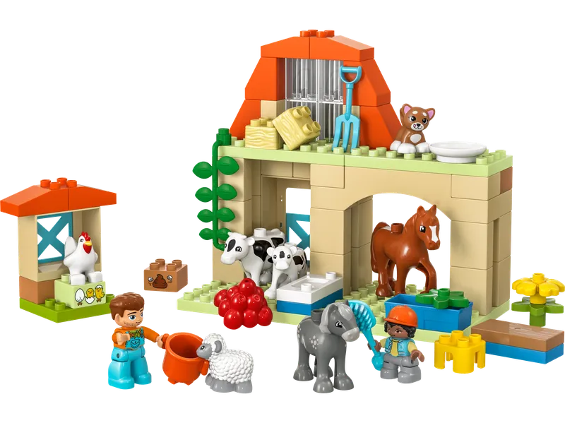 Caring for Animals at the Farm