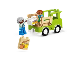 LEGO Caring for Bees & Beehives (10419) - afbeelding 2